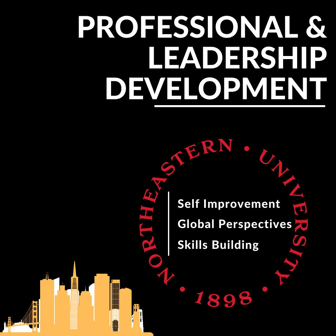 Professional and Leadership Development - Self Improvement, Global Perspectives, Skills Building